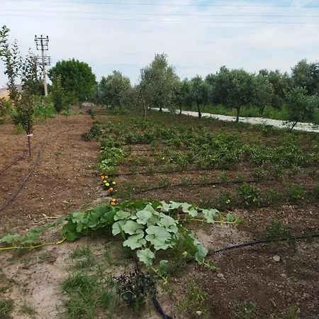 Dogal Ciftlik فندق
